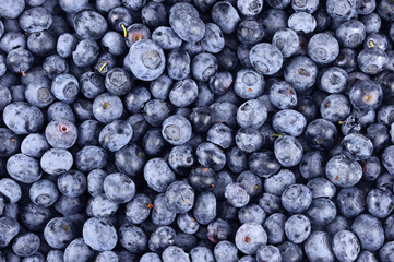 blueberry background