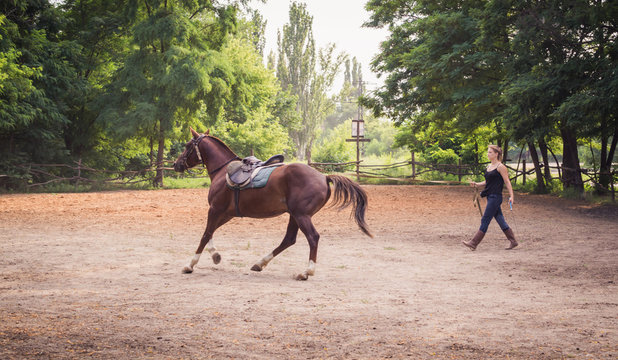 Молодая девушка жокей и скаковая лошадь