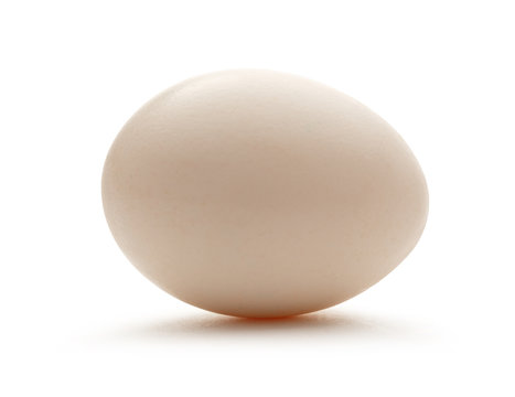 One fresh egg