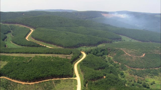 Forestry And Firefighting Airstrip