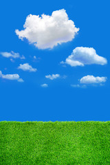 Image of green grass field and bright blue sky