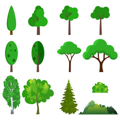 Illustration of a set of different trees