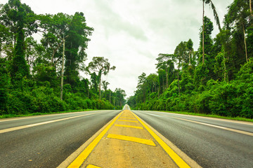 road with tree in Krabi , Thailand