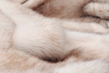 Obraz premium fur mink
