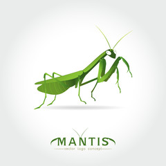 Green Mantis Vector
