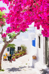 Traditional greek street with flowers in Amorgos island, Greece