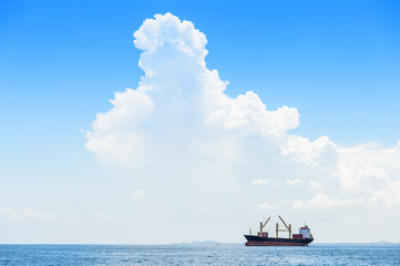 Naklejka premium Large container ship in the sea
