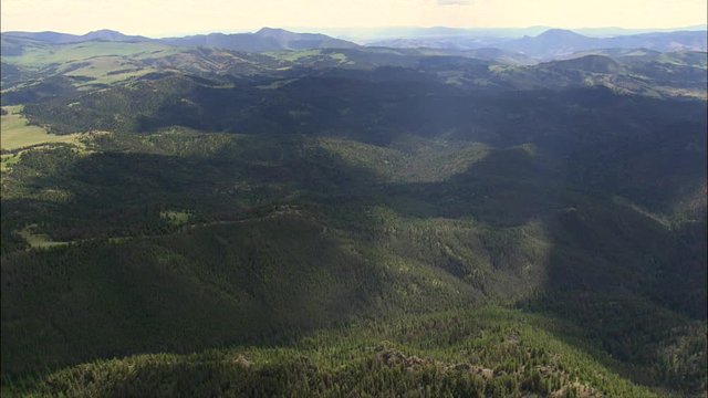 Flight Across Backlit Forest