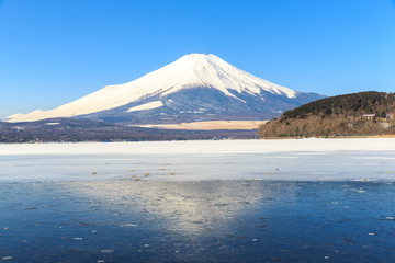 Mountain Fuji winter from Lake Yamanaka.