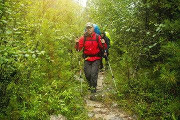 Fototapeta na wymiar man with backpack hiking in forest