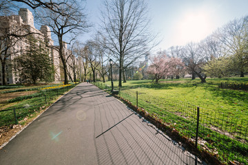Colorful Central park with road in spring, New York.