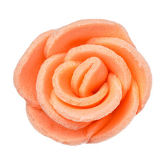 orange flower head isolated, beautiful decoration,top view