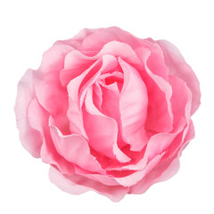 pink flower head isolated, beautiful decoration,top view