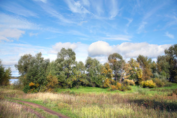 Indian summer in the meadows