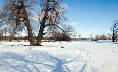winter sunny landscape
