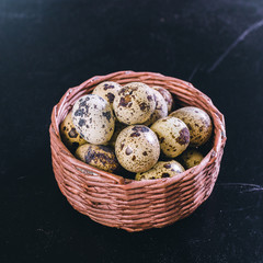 egg on black background