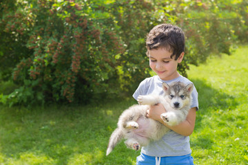 Portrait of a smiling cute little boy with a husky puppy in a garden