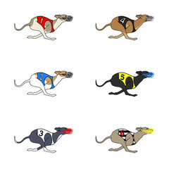 Set of vector images of running dog whippet breed in dog racing or coursing dress