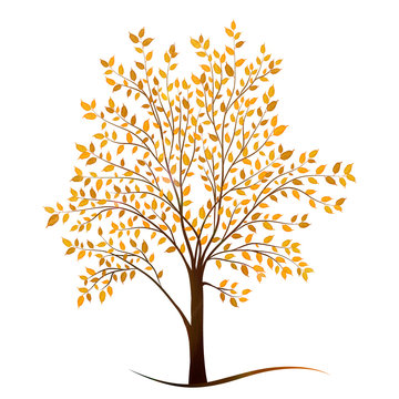 Autumn tree with leaves on white background