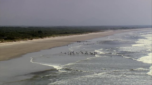Long Beach, Parque Nacional Do Superagui