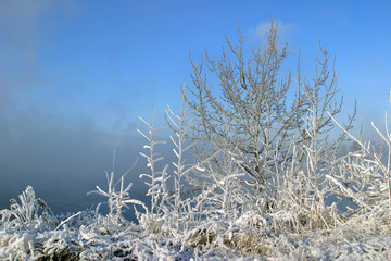 Frosty morning on the river