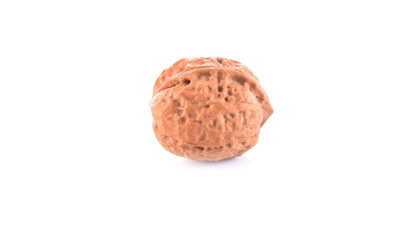 Walnut white background
