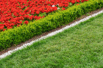 Diagonal Red flowerbed of white stones on a juicy green grass