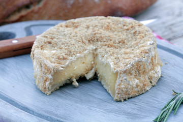 camembert fermier 19072016