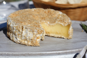 camembert fermier 19072016