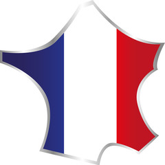 Repr&eacute;sentation de la carte de France avec contour Inox et centre avec le drapeau National pouvant servir d&rsquo;ic&ocirc;ne sur site Internet, sur document d'impression, ,vid&eacute;o .... 