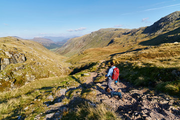 Fototapeta premium A hiker walking down towards Seathwaite, Grains Gill from Scafel