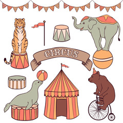 Cute circus animals set: tiger, elephant, seal, bear