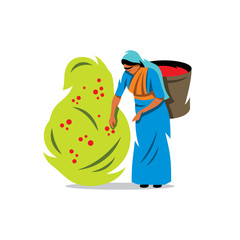 Vector Coffee Picker Cartoon Illustration.