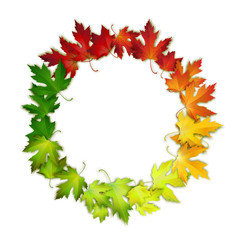 Vector round frame with colorful autumn leaves, banner, card template