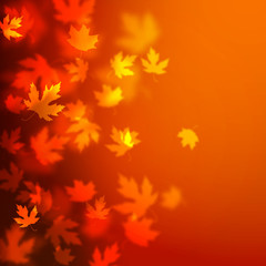 Naklejka na ściany i meble Vector autumn leaves background design, unfocused blurred red maple leaves backdrop illustration
