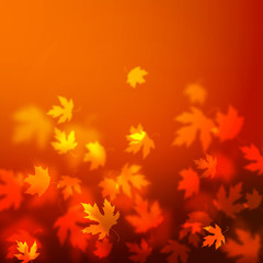 Naklejka na ściany i meble Vector autumn leaves background design, unfocused blurred red maple leaves backdrop illustration