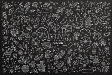 Chalkboard vector hand drawn Doodle cartoon set of objects
