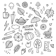 Vector set of different hand drawn autumn elements © balabolka