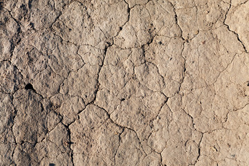 Dry ground texture top view