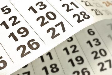 Calendar page, notebook blank page, pen