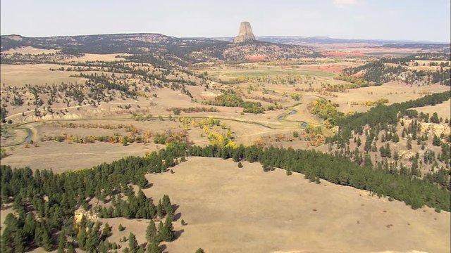 Flight Rising Right Around The Devil's Tower