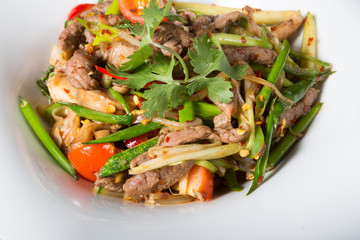 Asian fried meat dish
