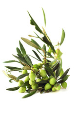 Olives on branch