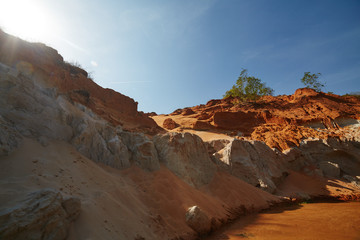 Fairy stream in Vietnam