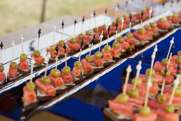 tasty snack on skewers Buffet