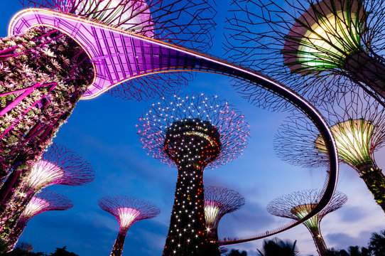 Night view of the Supertree Grove in the Graden by the Bay in Singapore.
