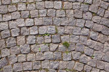 texture of the pavement and pavers