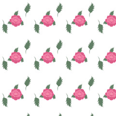 peony pink flowers white background vector abstract drawing seamless