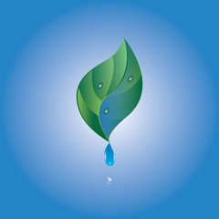 water drop green leaf blue background vector isolated abstract illustration