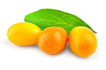 Kumquat citrus on a white background cutout